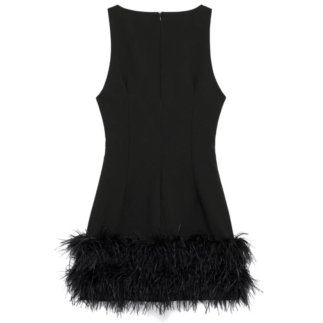 Noir Elegance Feather Dress