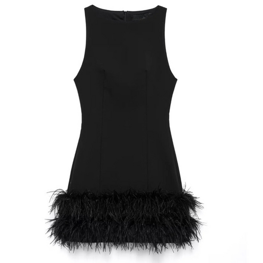 Noir Elegance Feather Dress